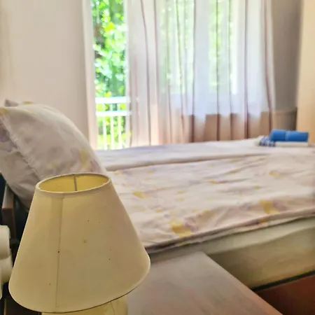 Apartament Maja Vujkovic 1 *