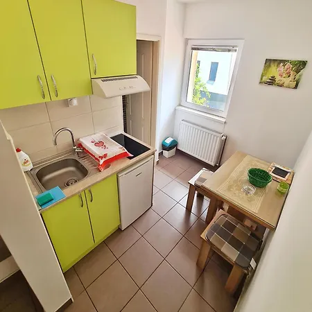 Apartament Maja Vujkovic 1 Sokobanja
