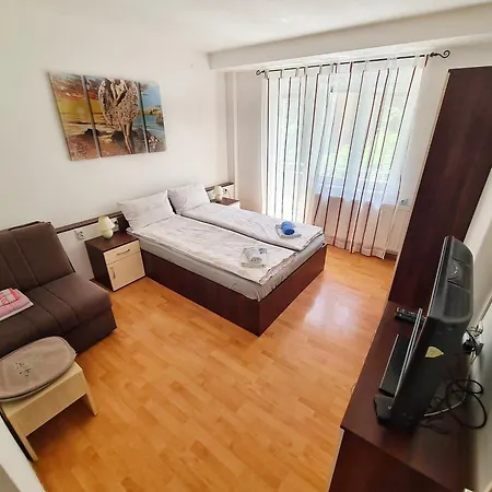 Apartment Maja Vujkovic 1 Soko Banja