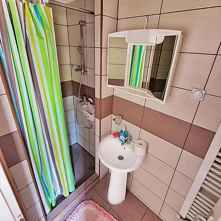 Apartment Maja Vujkovic 1 Soko Banja