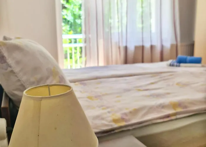 Apartman Maja Vujkovic 1 *