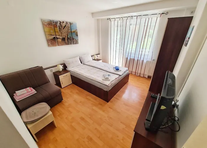 Apartman Maja Vujkovic 1 Soko Banja