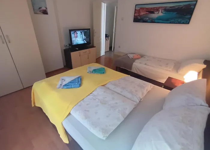 Maja Vujkovic 1 Apartman Soko Banja